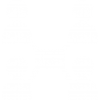 network-white network-white
